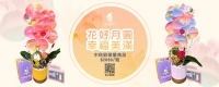 2023世茂_花好月圓 幸福美滿 .jpg