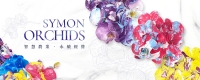 banner.jpg