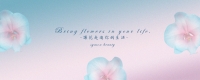 wedsite banner.jpg
