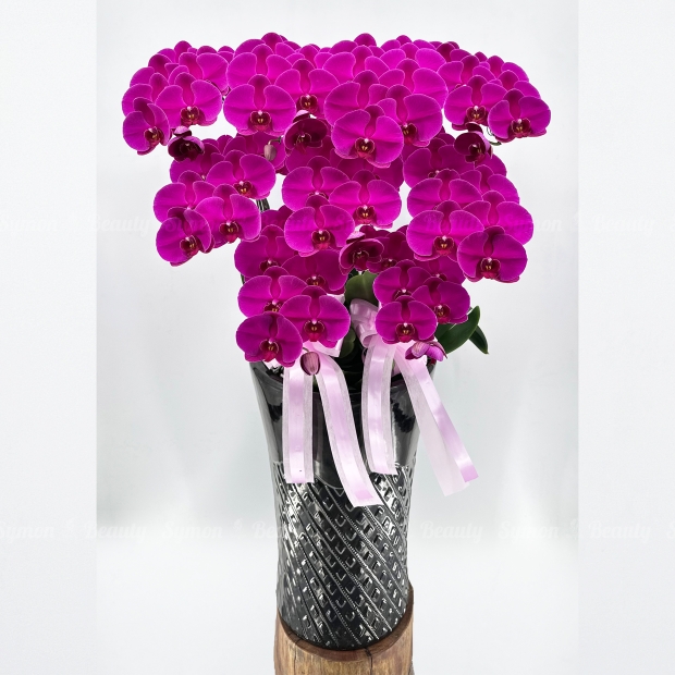 BIG CHILLI 紅花落地9入圖1 _4580.JPG