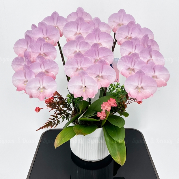 CB-F16圖3桌上 3入_2680.JPG