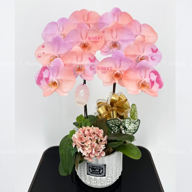 【三八女王節 限量花禮】二入盆 _2520 _1_.JPG