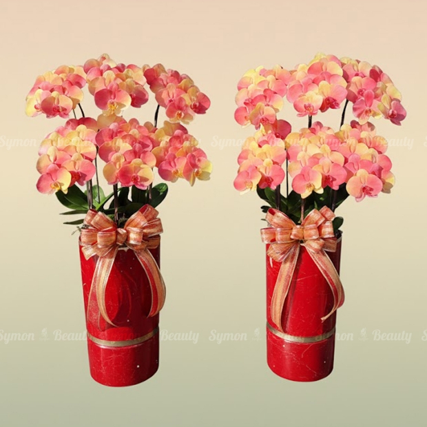 F24 落地6入一對盆 _12800.jpg