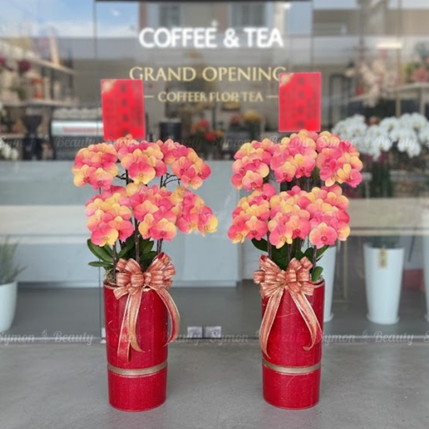 F24 落地6入一對盆 _12800 2.jpg