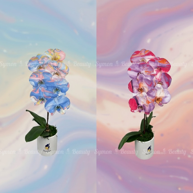 Impression 01_Impression 03 桌上1對_3280 1.jpg