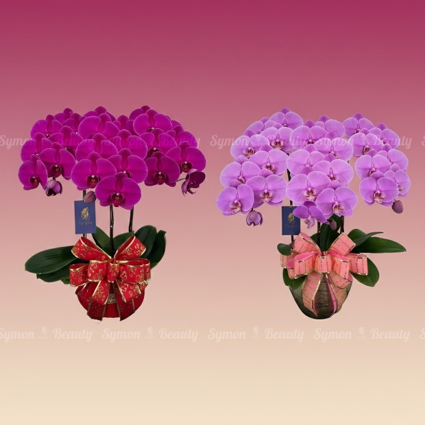 BIG CHILLI_HOT PINK 桌上3入_3280 _1_.jpg