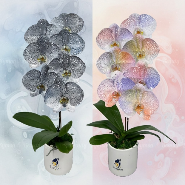 ART_02_ART_03 桌上1對_2480 去背0.jpg