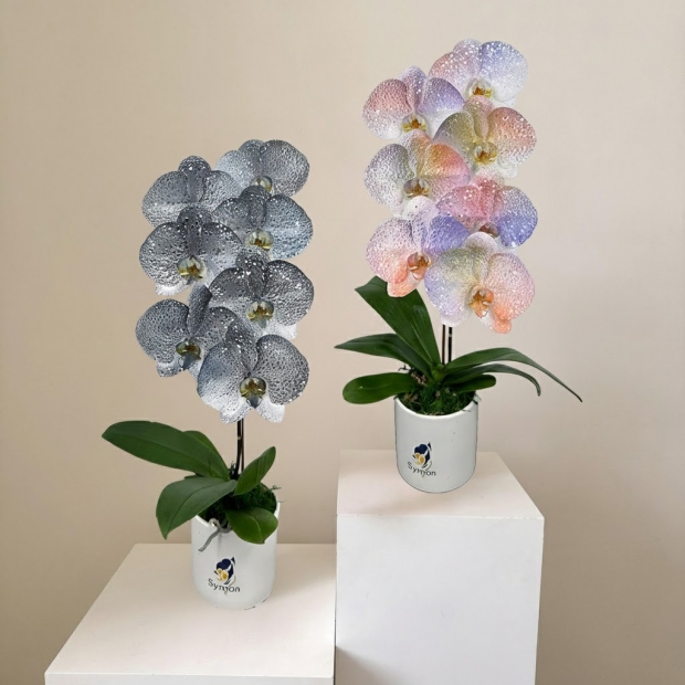 ART_02_ART_03 桌上1對_2480 去背1.jpg