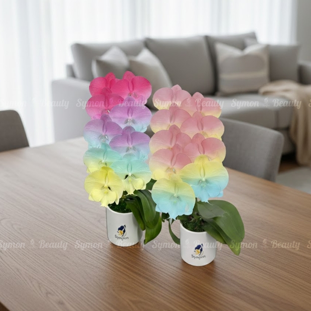 CB-F34_CB-F36 桌上1對_2080 0.jpg