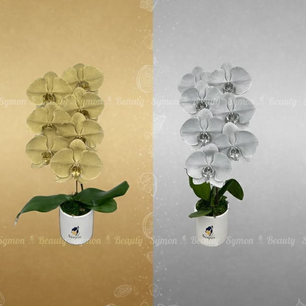 Metal Gold_Metal Silver 桌上1對_2480.jpg