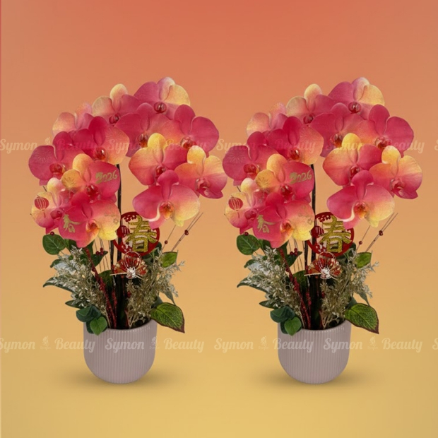 2026新春A款_桌上型二入盆一對盆__2280 _1_.jpg