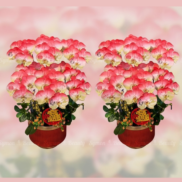 2026新春C款_桌上型六入盆一對盆__9600 _1_.jpg