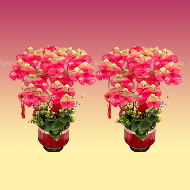 【福滿迎春 瑞金滿堂】桌上型五入盆_一對__16000.jpg