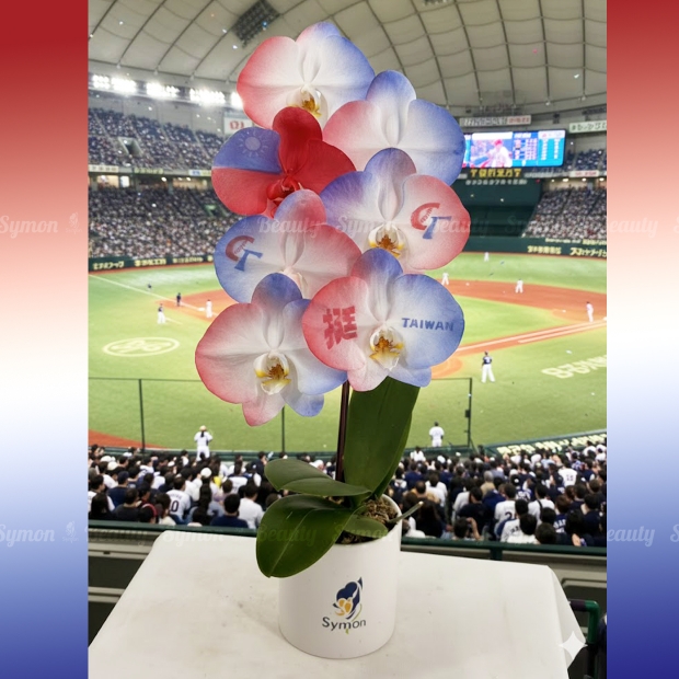 【台灣棒球】桌上型一入盆__1980 01.jpg