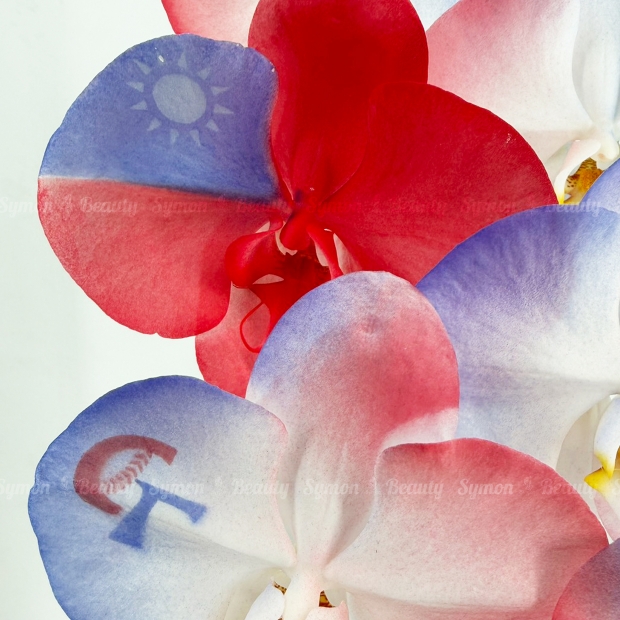 【台灣棒球】桌上型一入盆__1980 02.jpg