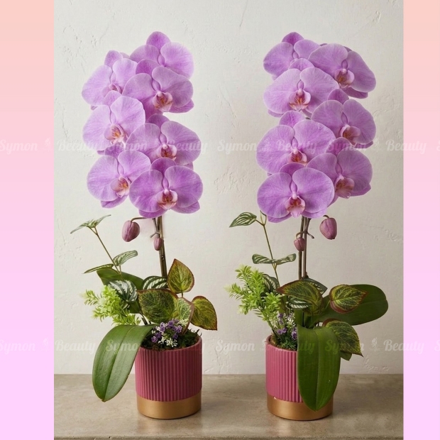 HOT PINK 桌上1入_1280 _1_.jpg