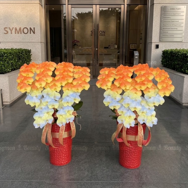 旭日東昇 落地9入_13800 02.jpg