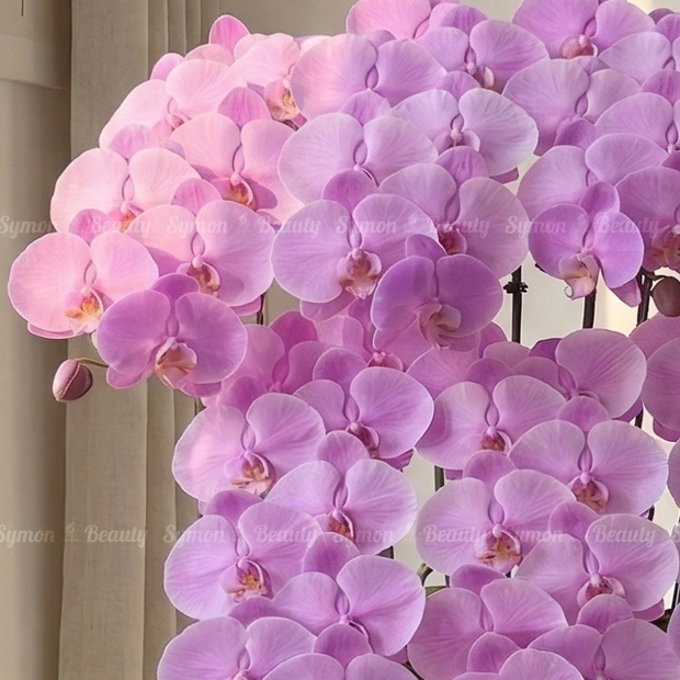 HOT PINK 粉花落地7入圖2 _3580.JPG