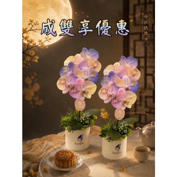 一入成雙組.jpg