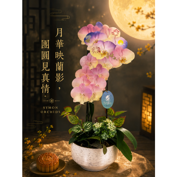 S__171261958_0.png