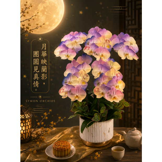 S__171261955_0.png