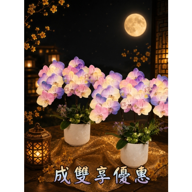 三入成雙組.jpg