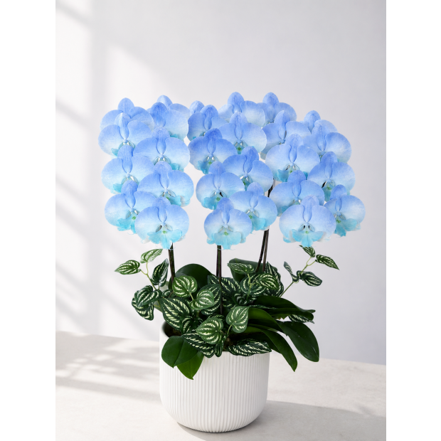 CB-Painting #2