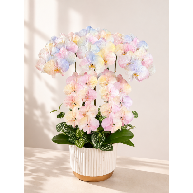 ccb662d3-ace3-46e9-b6cf-cbbe2fb84a1c.png