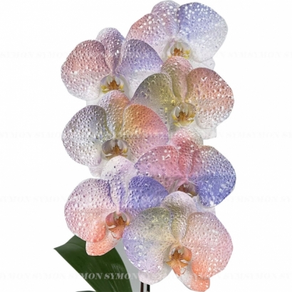 ART _03  _1280 一入 -2.jpg