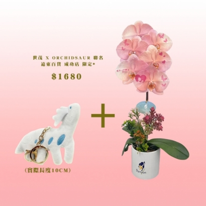 IG 上架-9.jpg