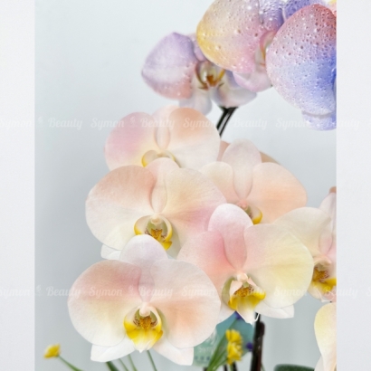 ART_03小花MIX   2入 桌上 圖3 _1980.JPG