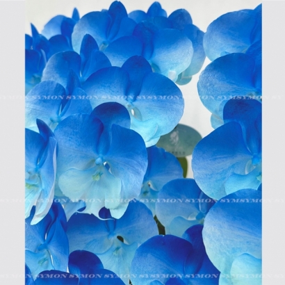 方CB-New Painting _2 桌上6入圖2 _4800-2.jpg