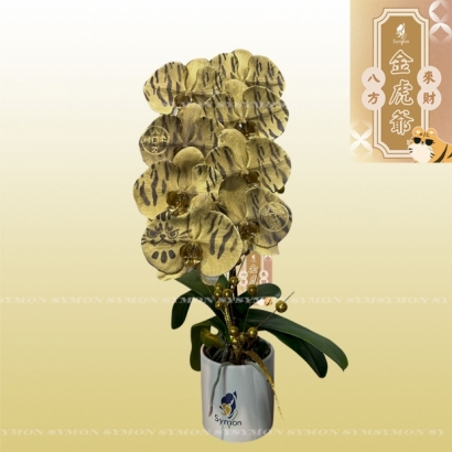 金虎爺.jpg