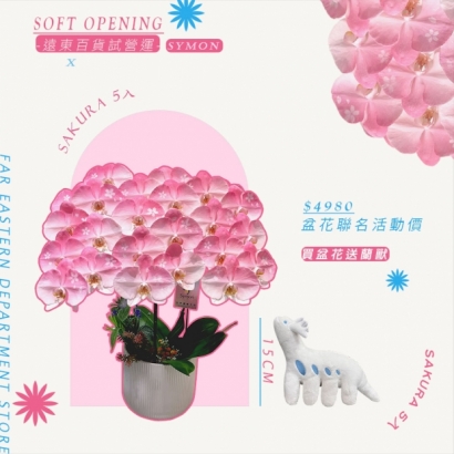sakura延期試營運.jpg