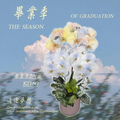 IG_網頁尺寸 pw-2.jpg