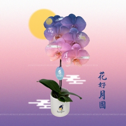 花好月圓.jpg