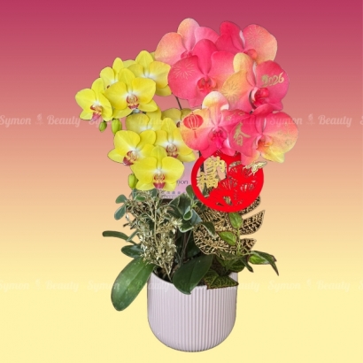 2026新春B款_桌上型二入盆__2680 _1_.jpg