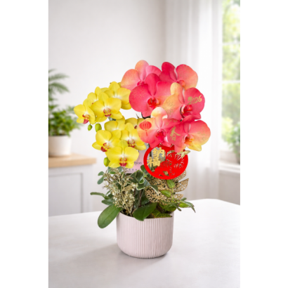 2026新春B款_桌上型二入盆__2680 _4_.jpg