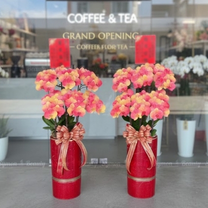 F24 落地6入一對盆 _12800 2.jpg