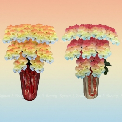 F02_F33 落地9入_13800 去背1.jpg