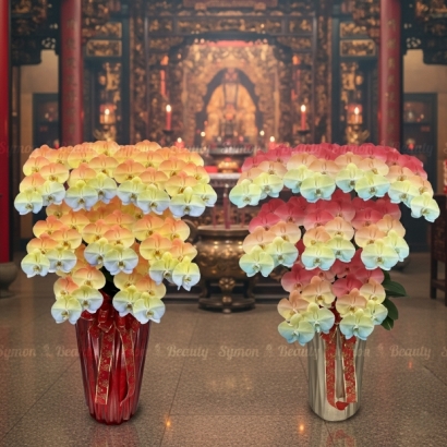 F02_F33 落地9入_13800 去背2.jpg