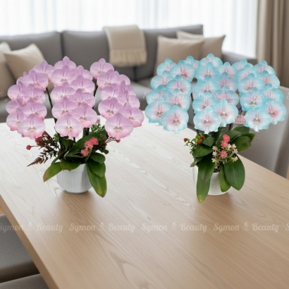 CB-F16_CB-F32 桌上3入_5200 2.jpg