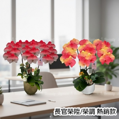 F21_F24 桌上3入_5200 .jpg