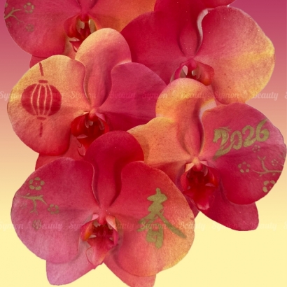 2026新春A款_桌上型二入盆__3280 _3_.jpg