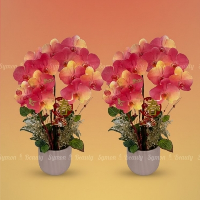 2026新春A款_桌上型二入盆一對盆__2280 _1_.jpg