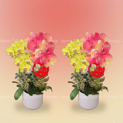 2026新春B款_桌上型二入盆一對盆__2280 _1_.jpg