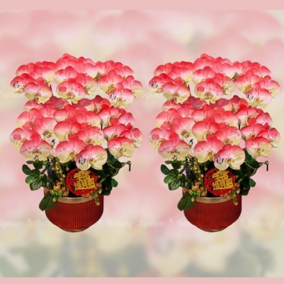 2026新春C款_桌上型六入盆一對盆__9600 _1_.jpg