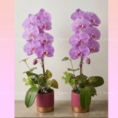 HOT PINK 桌上1入_1280 _1_.jpg