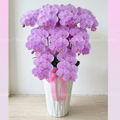 HOT PINK 粉花落地9入圖1 _4580.JPG