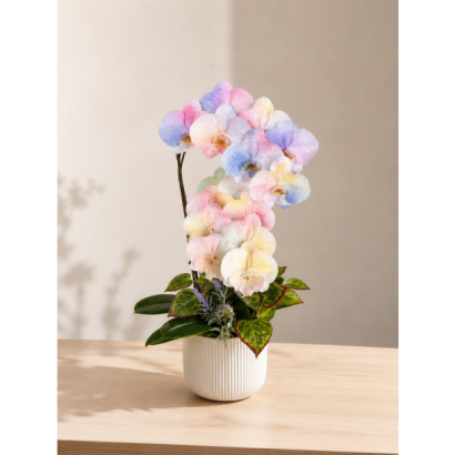 1697255c-c9a5-423f-954f-de8bf9bc1f03.png